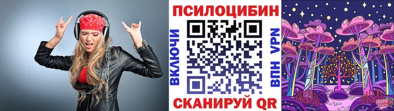 Купить  Боровичи  Галлюциногенные грибы Psilocybine cubensis 
