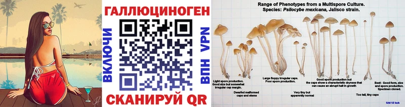 Псилоцибиновые грибы Psilocybe Боровичи